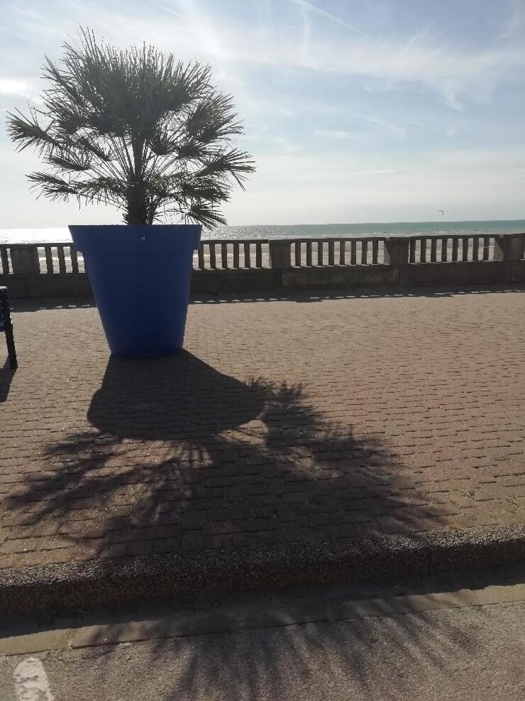 T3 Rez-De-Chaussee Lumineux Avec Terrasse Proche Plage كوسيك المظهر الخارجي الصورة