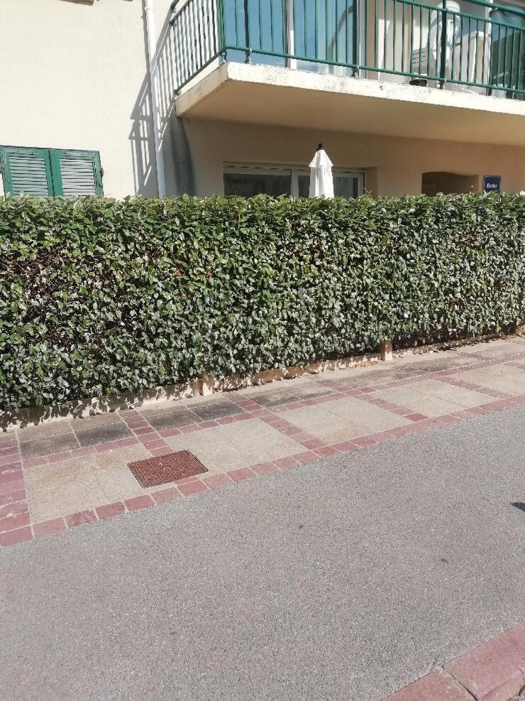 T3 Rez-De-Chaussee Lumineux Avec Terrasse Proche Plage كوسيك المظهر الخارجي الصورة
